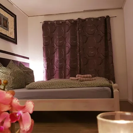 Hillig Apartment Elterlein