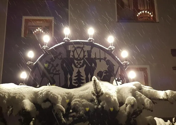 Hillig Apartment Elterlein