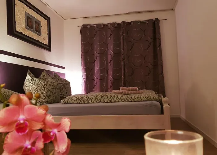 Hillig Apartment Elterlein